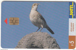 URUGUAY - Bird, Hornero(77a), 09/99, Used - Sonstige & Ohne Zuordnung