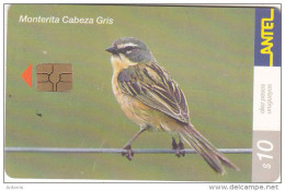 URUGUAY - Bird, Monterita Cabeza Gris(206a), 11/01, Used - Otros & Sin Clasificación