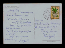 Gc8737 CAP VERT "FLORA" Flowers Fleurs 1971 Fruits (RICINO Oil) Plants /color Postcard S.Vicente /mailed Praia »Portugal - Piante Medicinali