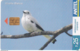 URUGUAY - Bird, Viudita Blanca(379a), 02/05, Used - Otros & Sin Clasificación