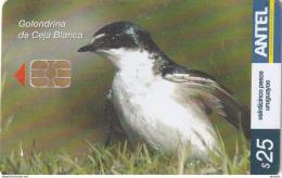 URUGUAY - Bird, Golondrina De Ceja Blanca(462a), 01/07, Used - Otros & Sin Clasificación