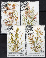 ZAYIX South Africa Bophuthatswana 80-83 CTO Grasses Plants 092022S113M - Unclassified