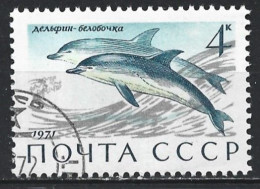 Russia 1971. Scott #3882 (U) Sea Mammal, Common Dolphins - Usati
