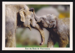 CPM 10.5 X 15 éléphant D'Asie éléphanteau Au Zoo Du Bois De Vincennes Parc Zoologique De Paris Photographe F.G. Grandon - Altri & Non Classificati