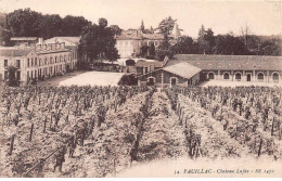 33 - PAUILLAC - SAN33102 - Château Lafite - Agriculture - Vigne - Métier - Pauillac