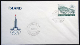 Iceland 1980  Minr.555     FDC   ( Lot 6531 ) - FDC