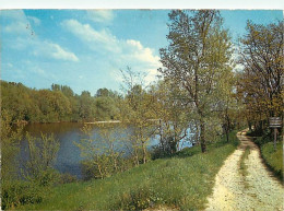 45 - Chatillon Sur Loire - Les Bords De La Loire - CPM - Voir Scans Recto-Verso - Chatillon Sur Loire