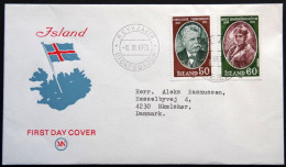 Iceland 1978     Minr.528-29    FDC    ( Lot 6531) - FDC