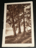 Rare Ancien Petit Calendrier Memento 1933,  "Au Pèle-mèle" Orléans 45 - Small : 1921-40
