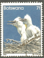 210 Botswana Oiseau Bird Vogel Uccello Cattle Egret Aigrette Du Bétail (BOT-34i) - Kraanvogels En Kraanvogelachtigen
