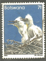 210 Botswana Oiseau Bird Vogel Uccello Cattle Egret Aigrette Du Bétail (BOT-34h) - Kraanvogels En Kraanvogelachtigen