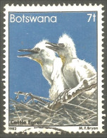 210 Botswana Oiseau Bird Vogel Uccello Cattle Egret Aigrette Du Bétail (BOT-34j) - Kraanvogels En Kraanvogelachtigen
