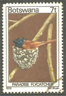 210 Botswana Oiseau Bird Vogel Uccello Paradise Flycatcher (BOT-29d) - Botswana (1966-...)