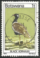 210 Botswana Oiseau Bird Vogel Uccello Black Korhaan (BOT-28d) - Ganzen