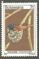 210 Botswana Oiseau Bird Vogel Uccello Paradise Flycatcher (BOT-29b) - Botswana (1966-...)