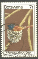 210 Botswana Oiseau Bird Vogel Uccello Paradise Flycatcher (BOT-29c) - Botswana (1966-...)