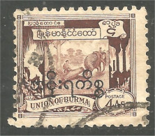 232 Burma Elephant Elefant Elefante Olifant Norsu (BRM-43) - Myanmar (Burma 1948-...)