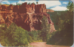 ZAYIX Postcard Jemez Mountains New Mexico Les Reed K72 102022-PC46 - Other & Unclassified