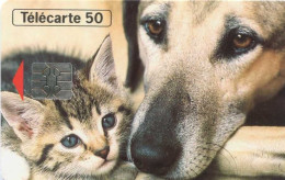 Télécarte  Partenaires Journée Mondiale Des Animaux    Privée Publique - Sonstige & Ohne Zuordnung