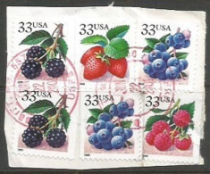 USA Berries BKLT P.11.50 With Date 2000 Cpl Issue (4v+2 Doubles)  In VFU Condition Used 22jun2001 On The Same Piece - Usados