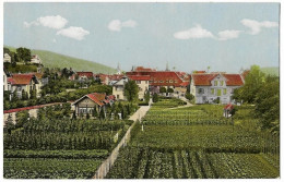 SARNEN: Teilansicht Mit Garten Frauenkloster ~1910 - Sarnen