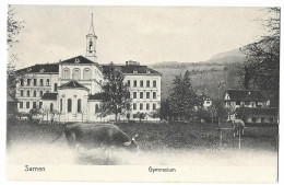 SARNEN: Gymnasium Mit Kühen ~1910 - Sarnen