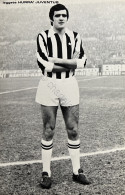 Cartoncino Fotografico Hurrà Juventus - Calciatore Antonello Cuccureddu Anni '70 - Andere & Zonder Classificatie