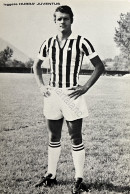 Cartoncino Fotografico Hurrà Juventus - Calciatore Fabio Capello - Anni '70 - Sonstige & Ohne Zuordnung