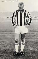 Cartoncino Fotografico Hurrà Juventus - Calciatore Helmut Haller - Anni '70 - Sonstige & Ohne Zuordnung