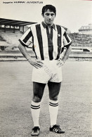 Cartoncino Fotografico Hurrà Juventus - Calciatore Giuseppe Furino - Anni '70 - Andere & Zonder Classificatie