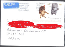 GREAT BRITAIN #4553 -  CATS ON COVER TO RIO DE JANEIRO, BRASIL  2023 - Cartas & Documentos