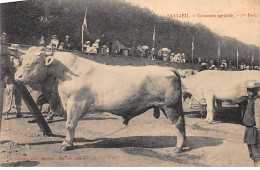 SAULIEU - Concours Agricole - 1er Prix - état - Saulieu