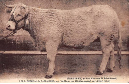 NARCISSE, 1er Prix, Concours De SAINT AMAND - Très Bon état - Saint-Amand-Montrond