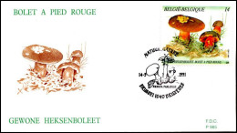 - 2420 - FDC - Natuur - Paddestoelen     - 1991-2000