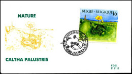 - 2572 - FDC - Natuur - Planten    - 1991-2000