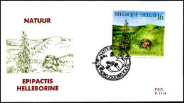 - 2575 - FDC - Natuur - Planten    - 1991-2000