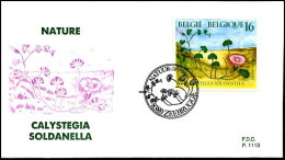 - 2574 - FDC - Natuur - Planten    - 1991-2000