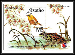 80855 Lesotho Mi N°114 Rana Nigromaculatus Philakorea 1994 Palpebrosa Gérygone Grenouille Frog ** MNH Oiseaux Birds - Frösche