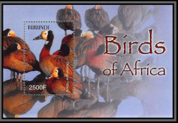 80857 Burundi Mi N°145 A Dendrocygna Dendrocygne Canard Duck ** MNH Oiseaux Birds Of Africa 2004 - Unused Stamps