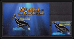 80678b Grenada Carriacou Petite Martinique MI B 641 + Timbre Mammals Whales Baleine à Bosse Whale ** MNH 2010 - Ballenas