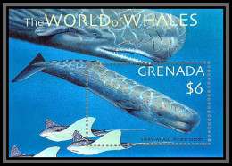 80660 Grenada Mi N°655 TB Neuf ** MNH The World Of Whales 2001 Sperm Whale Baleine - Ballenas