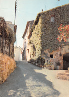 84-LOURMARIN-N°T258-B/0295 - Lourmarin