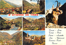 06-SAINT ETIENNE DE TINEE-N°T260-A/0175 - Saint-Etienne-de-Tinée