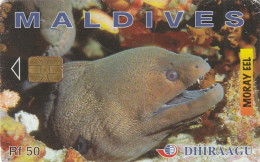 PHONE CARD MALDIVE  (E13.18.5 - Maldiven