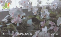 PHONE CARD JAMAICA  (E13.10.2 - Jamaïque