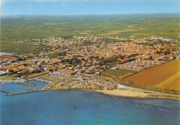 34-MARSEILLAN-N°T264-C/0225 - Marseillan