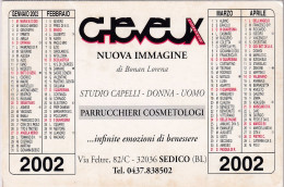 Calendarietto - Cheveux - Studio Capelli - Sedico - Anno 2002 - Kleinformat : 2001-...