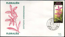 FDC - 2358  Gentse Floraliën  - Stempel :  Halanzy - 1981-1990