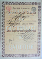S.A.du Charbonnage De Baudour -act.au Port.de 500fr. (1899) - Bergbau