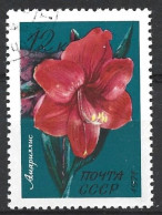 Russia 1971. Scott #3927 (U) Flowers, Amaryllis - Usati